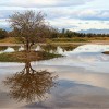 Aiguamolls de l’Empordà