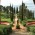 Santa Clotilde Gardens
