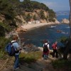 Cala el Crit